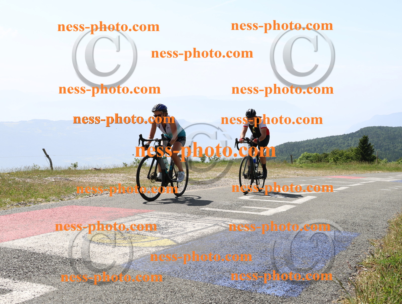 Col du grand Colombier (1488).JPG