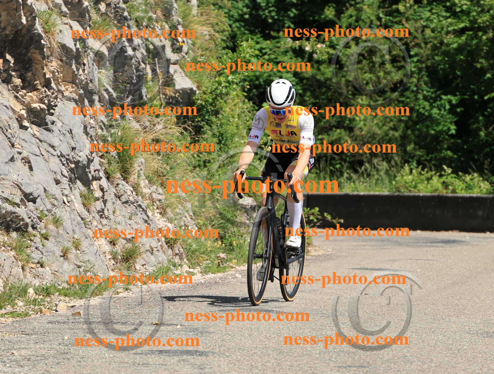 Col du Grand Colombier (707).JPG