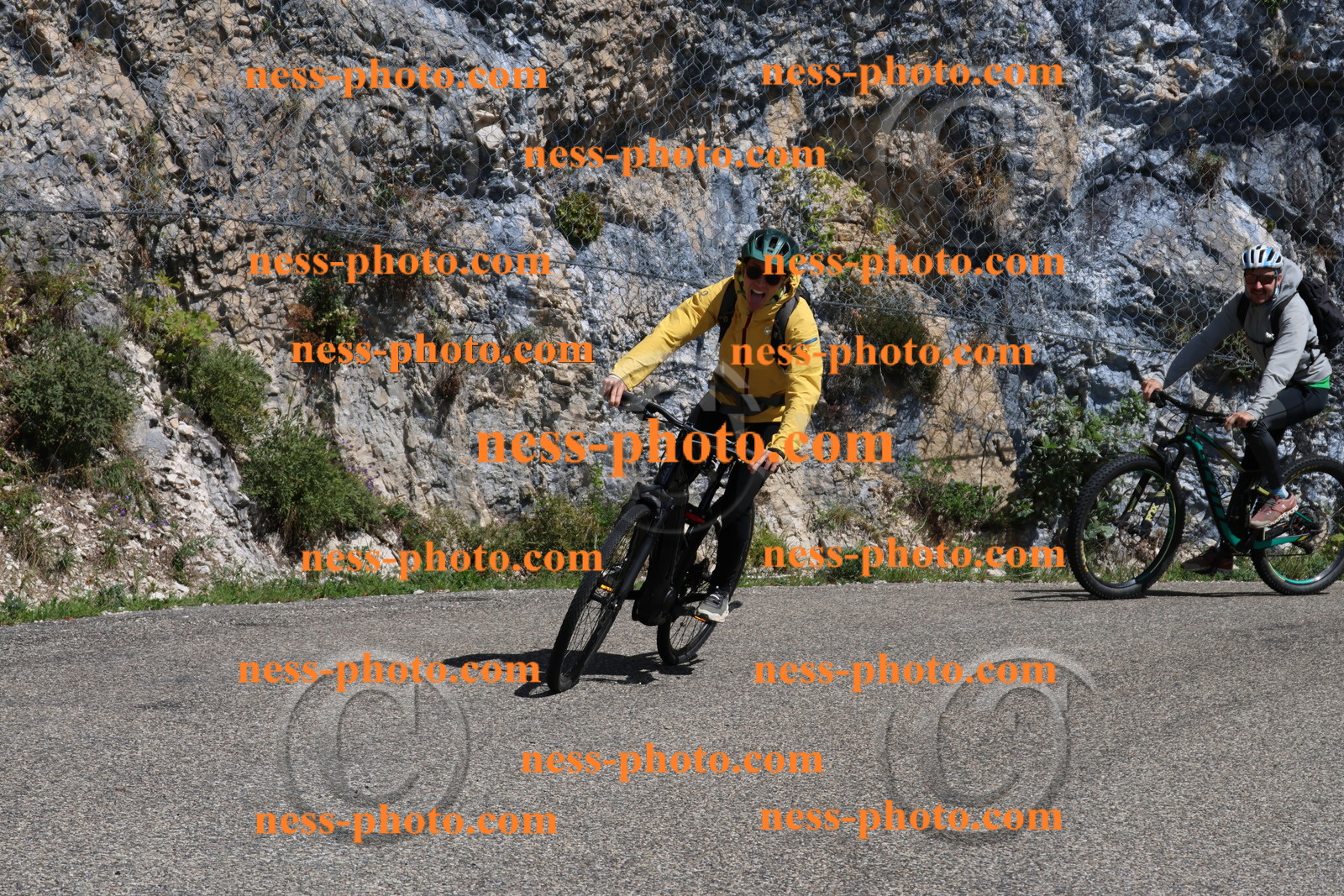 Col du Grand Colombier (229).JPG