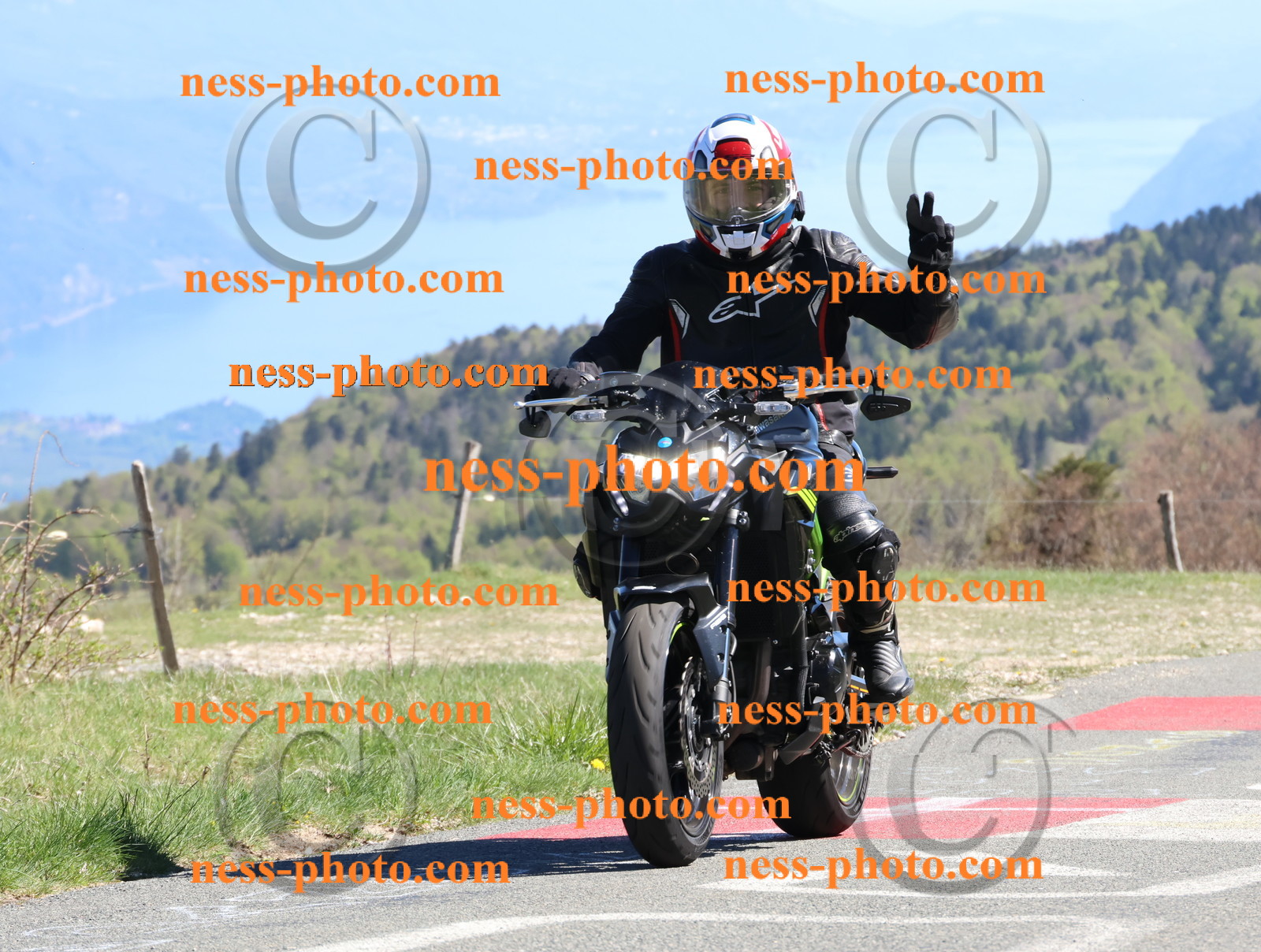 Col du Grand Colombier (357).JPG