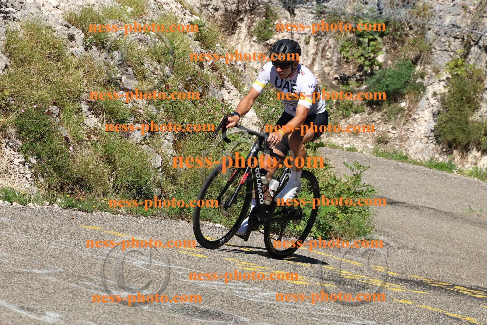 Col du Grand Colombier (387).JPG