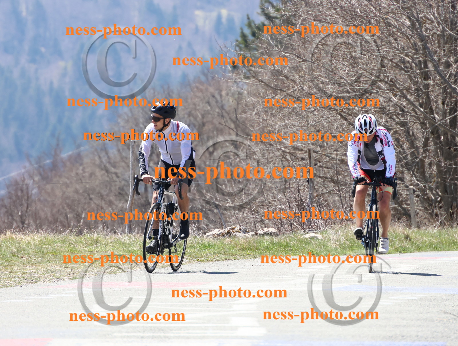 Col du Grand Colombier (131).JPG