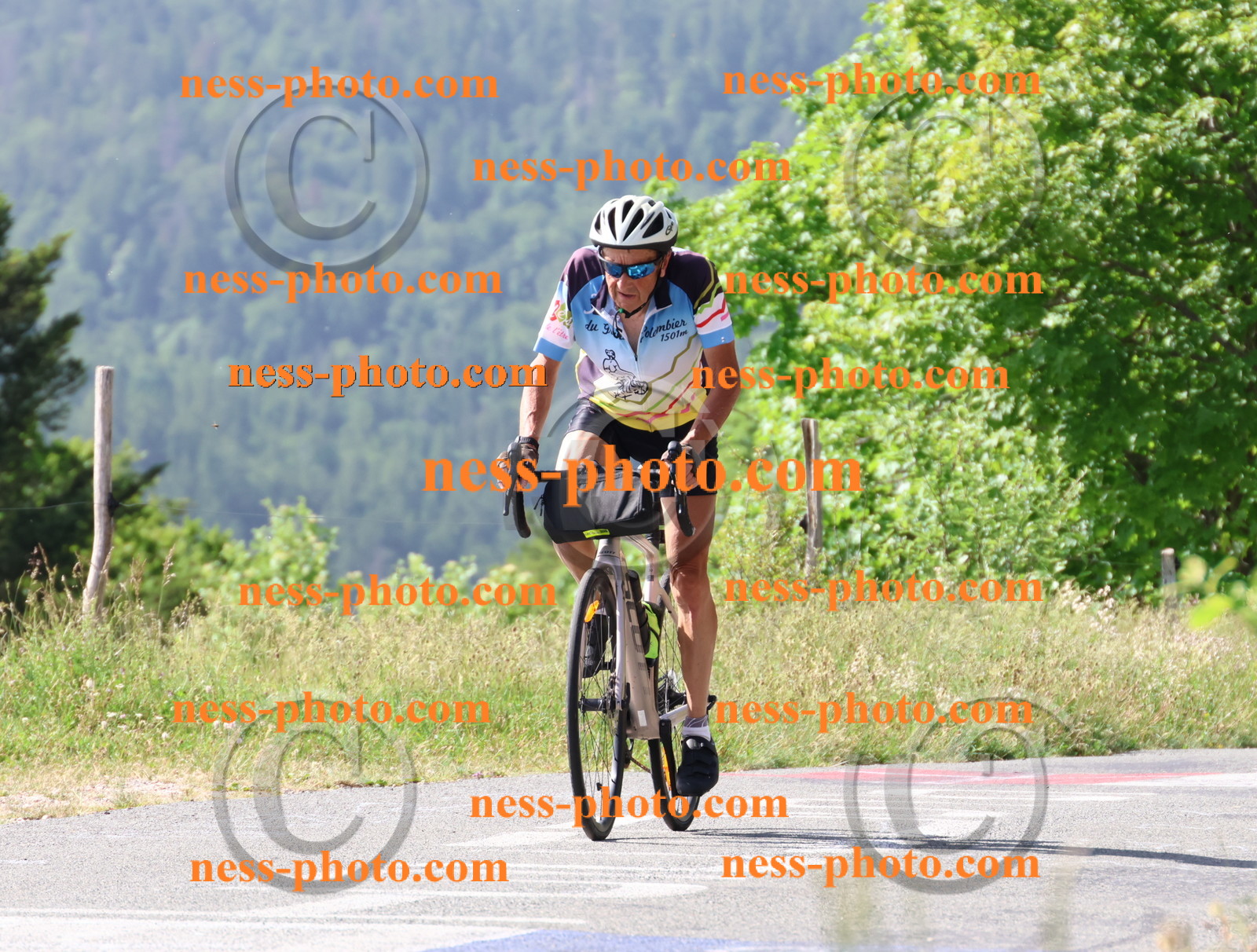 Col du grand Colombier (517).JPG