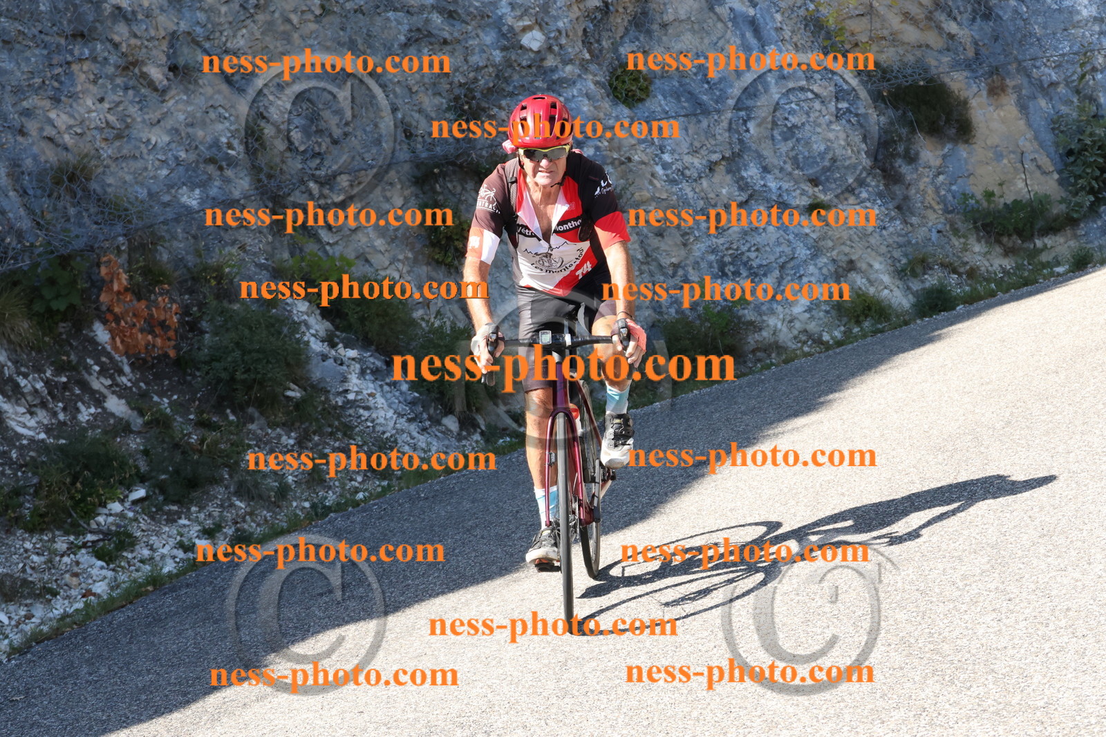 Col du Grand Colombier (499).JPG