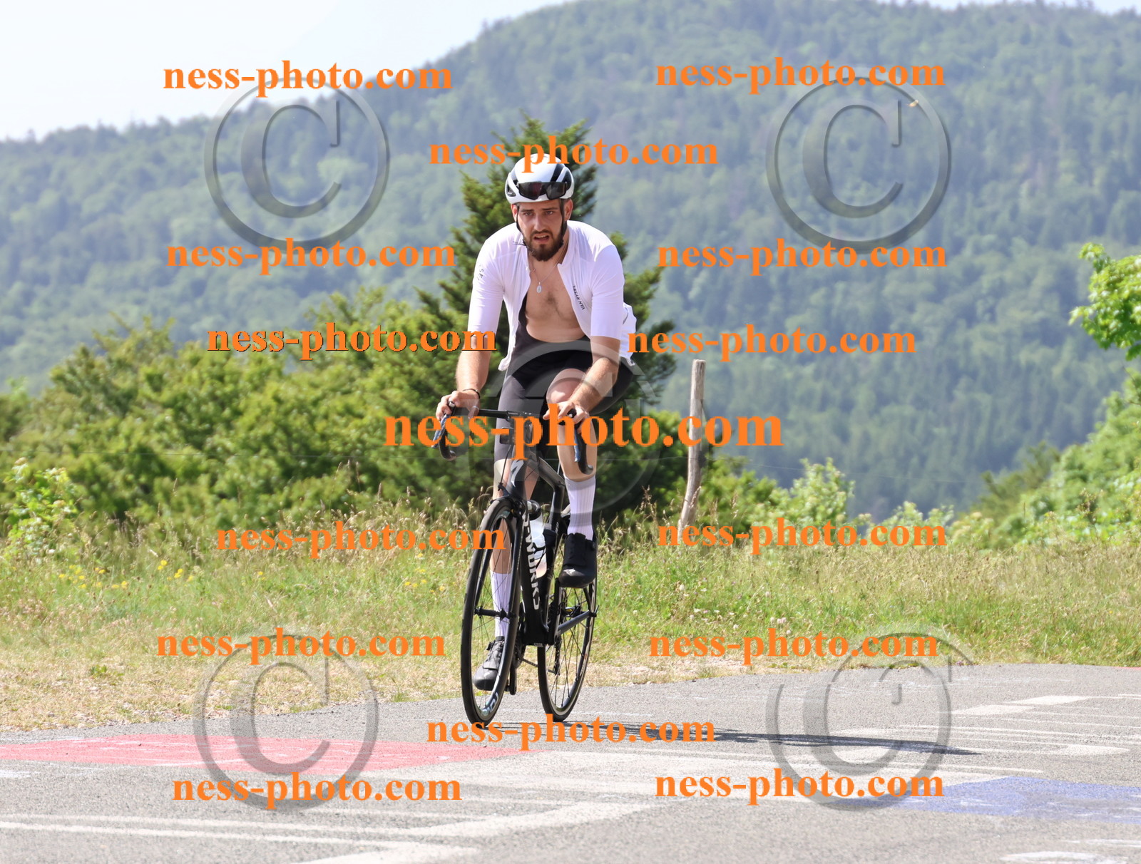 Col du grand Colombier (1074).JPG