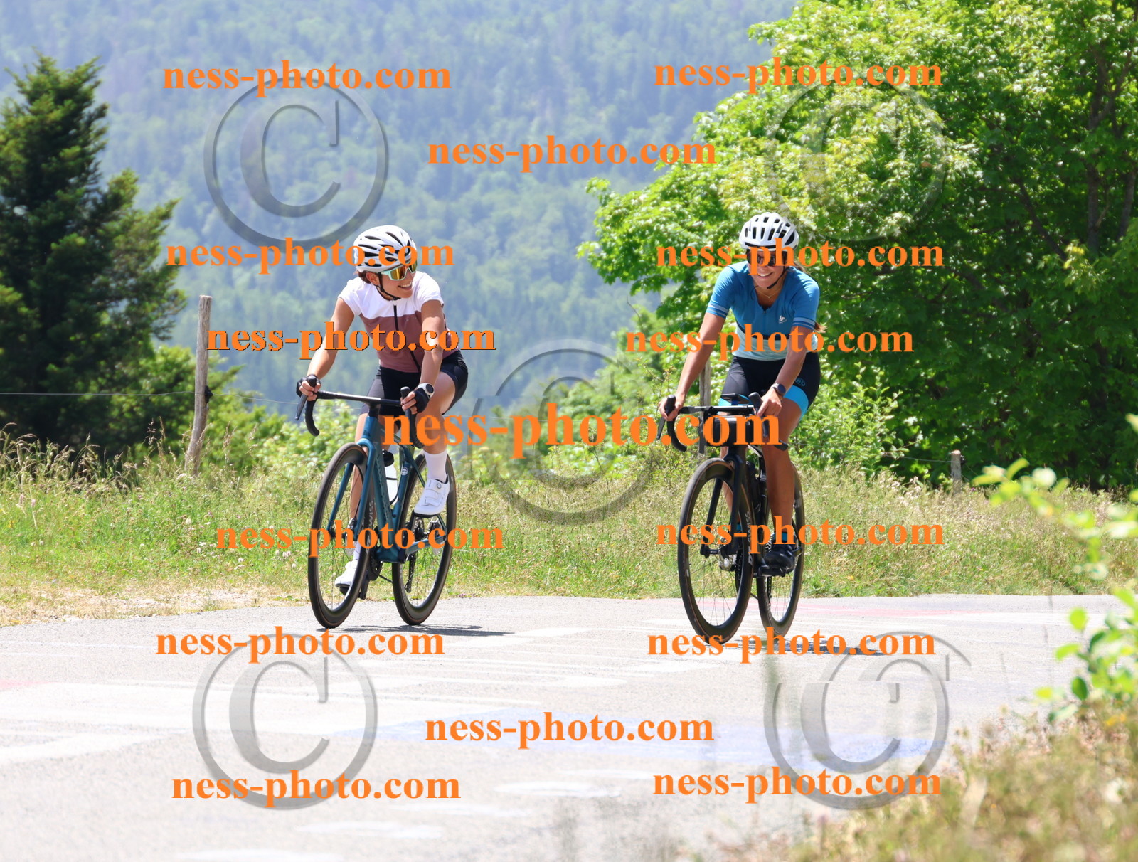 Col du grand Colombier (2693).JPG