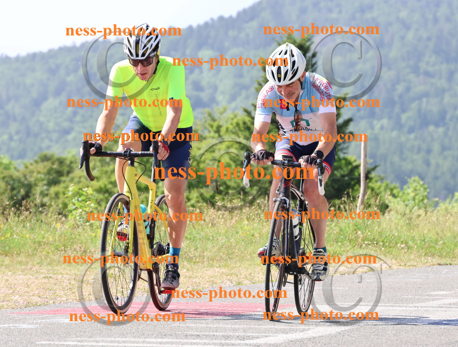 Col du grand Colombier (431).JPG