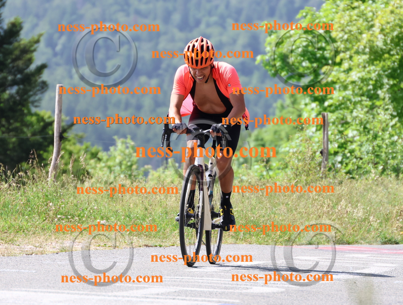 Col du grand Colombier (964).JPG