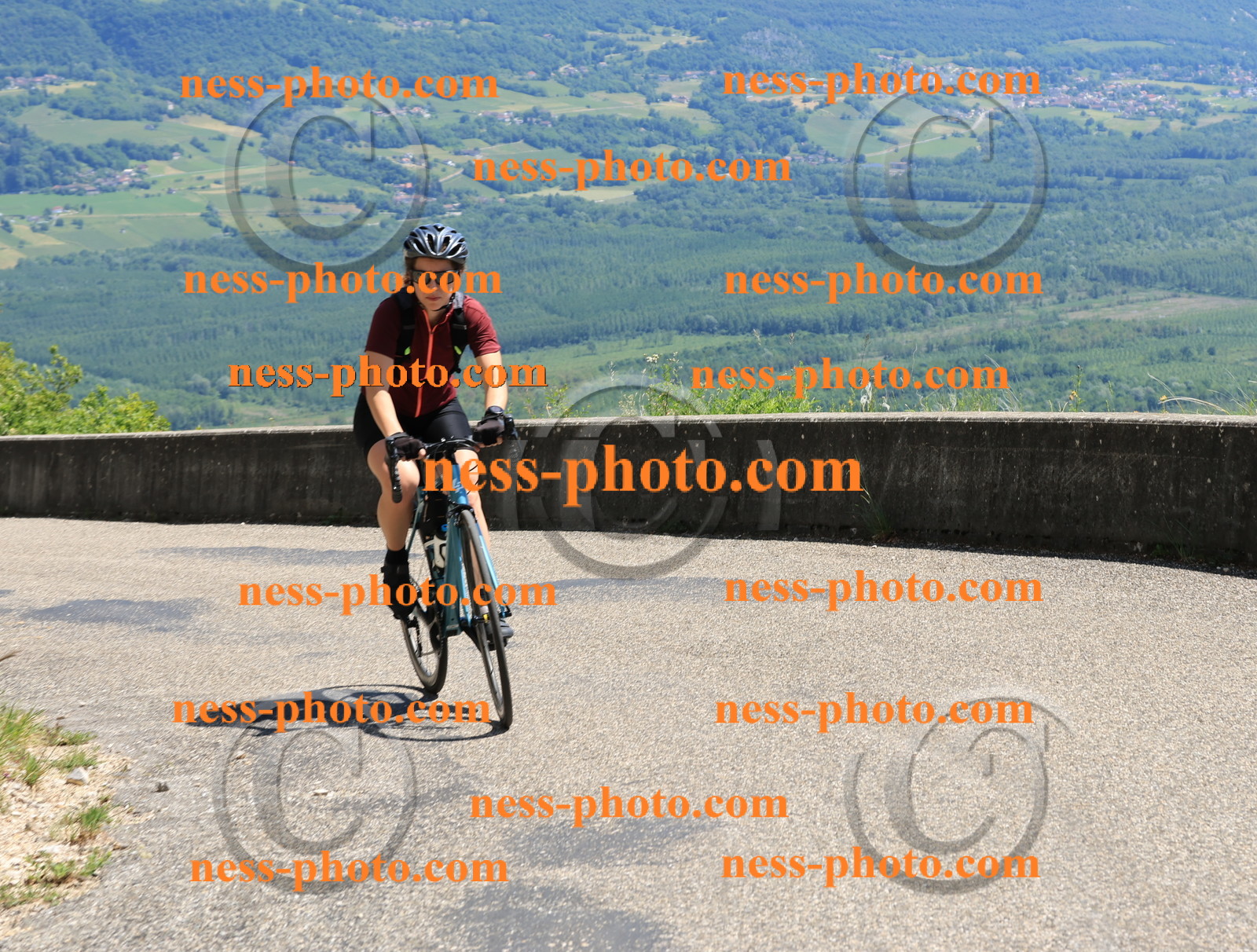 Col du Grand Colombier (643).JPG