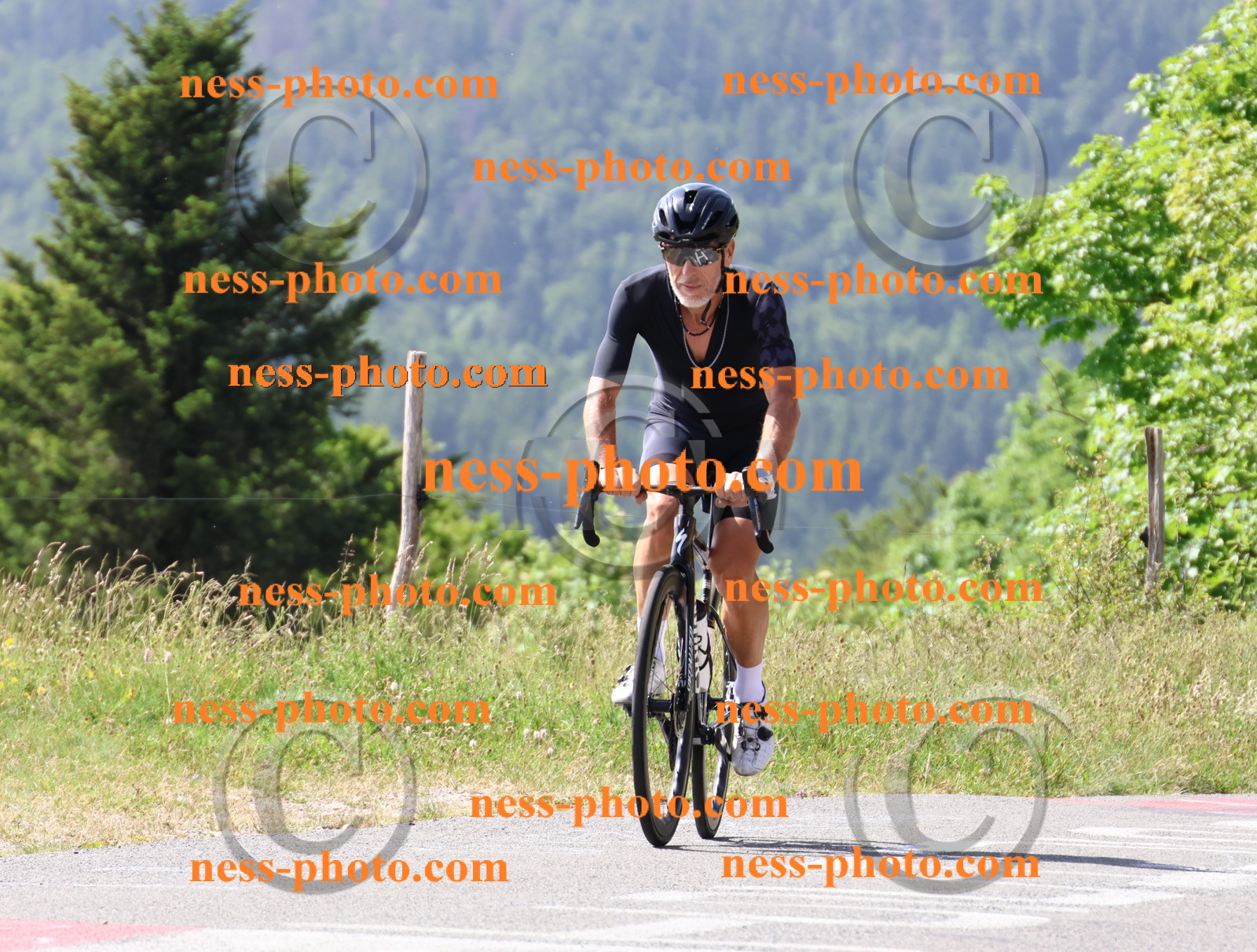 Col du grand Colombier (1059).JPG