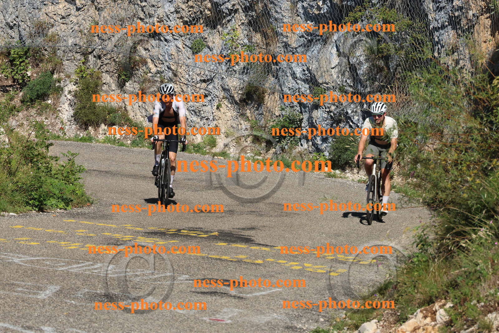 Col du Grand Colombier (303).JPG