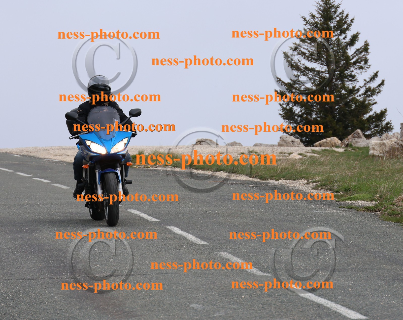 Col du Grand Colombier (93).JPG