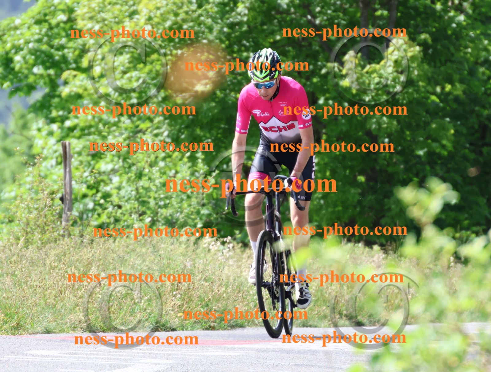 Col du grand Colombier (969).JPG