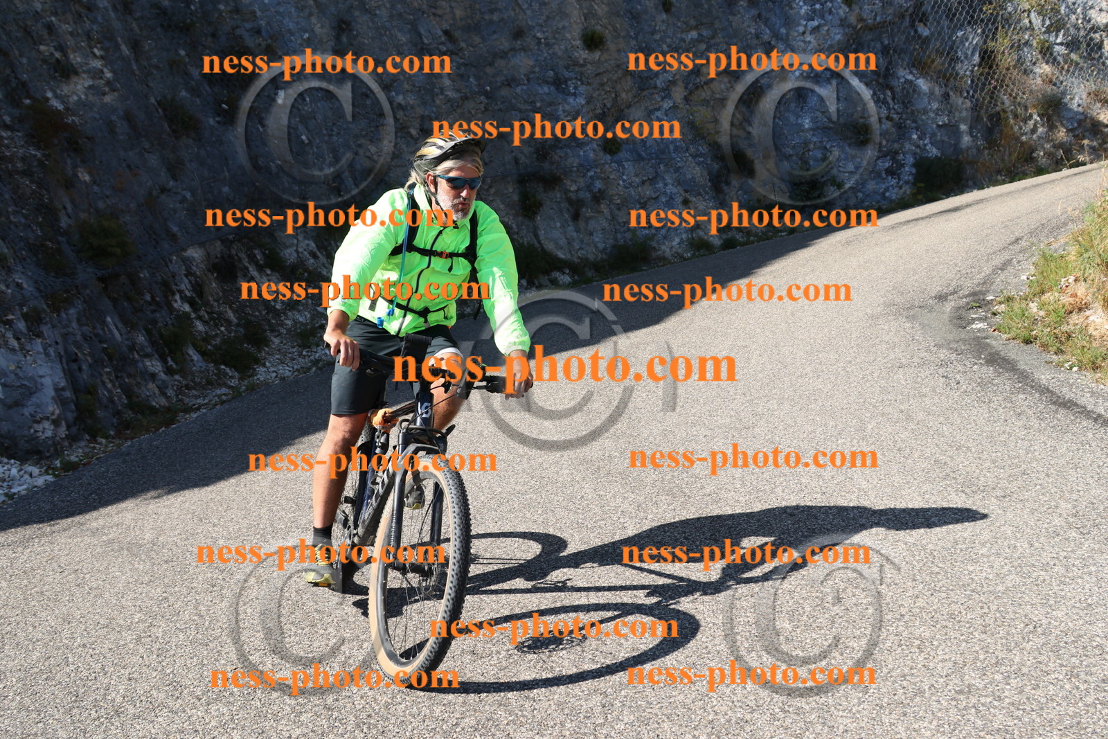 Col du Grand Colombier (524).JPG