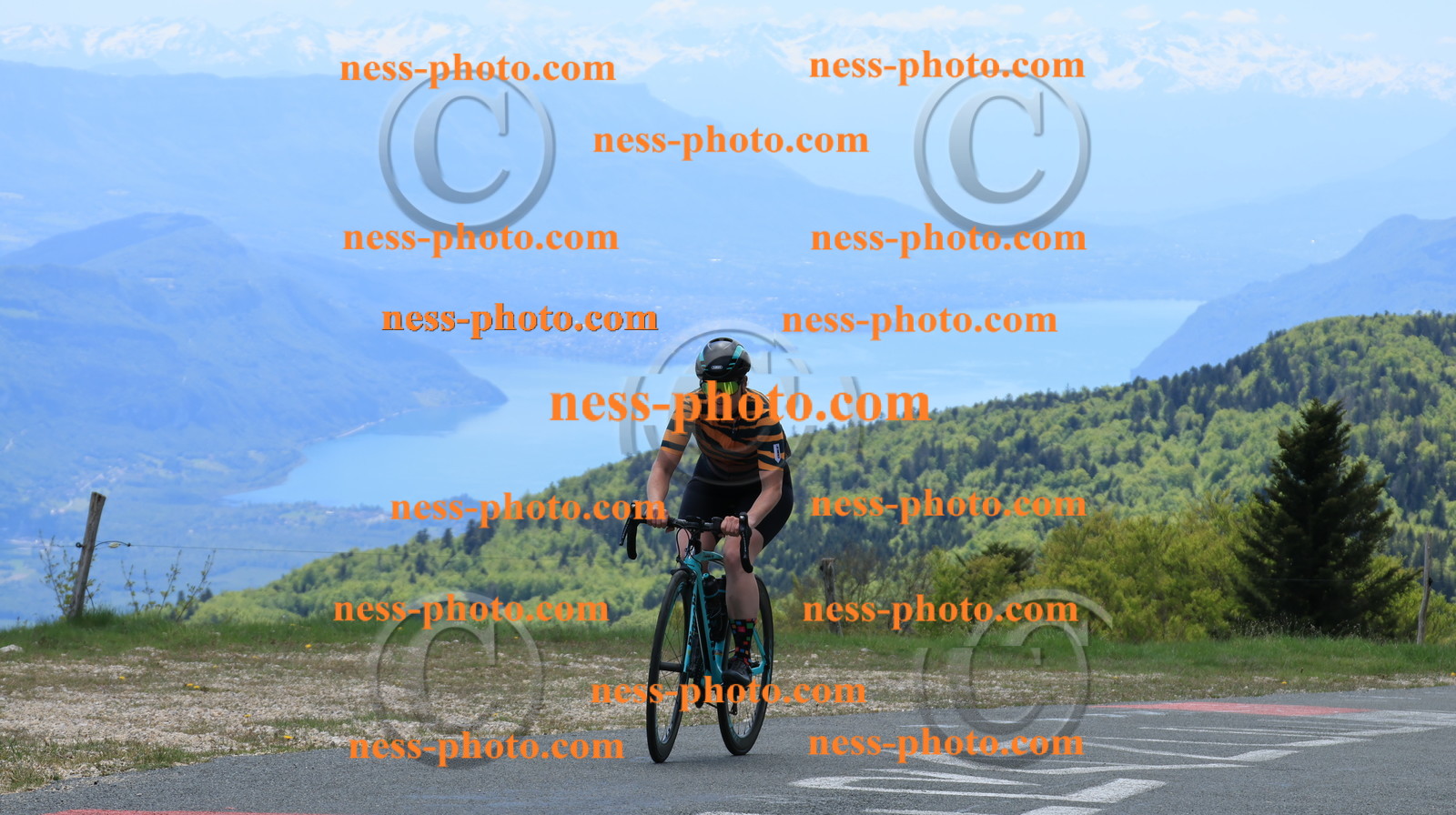 Col du grand Colombier (348).JPG