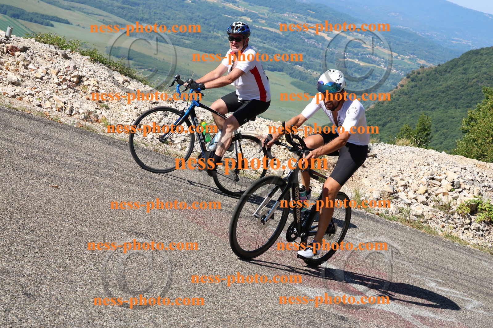 Col du Grand Colombier (1483).JPG