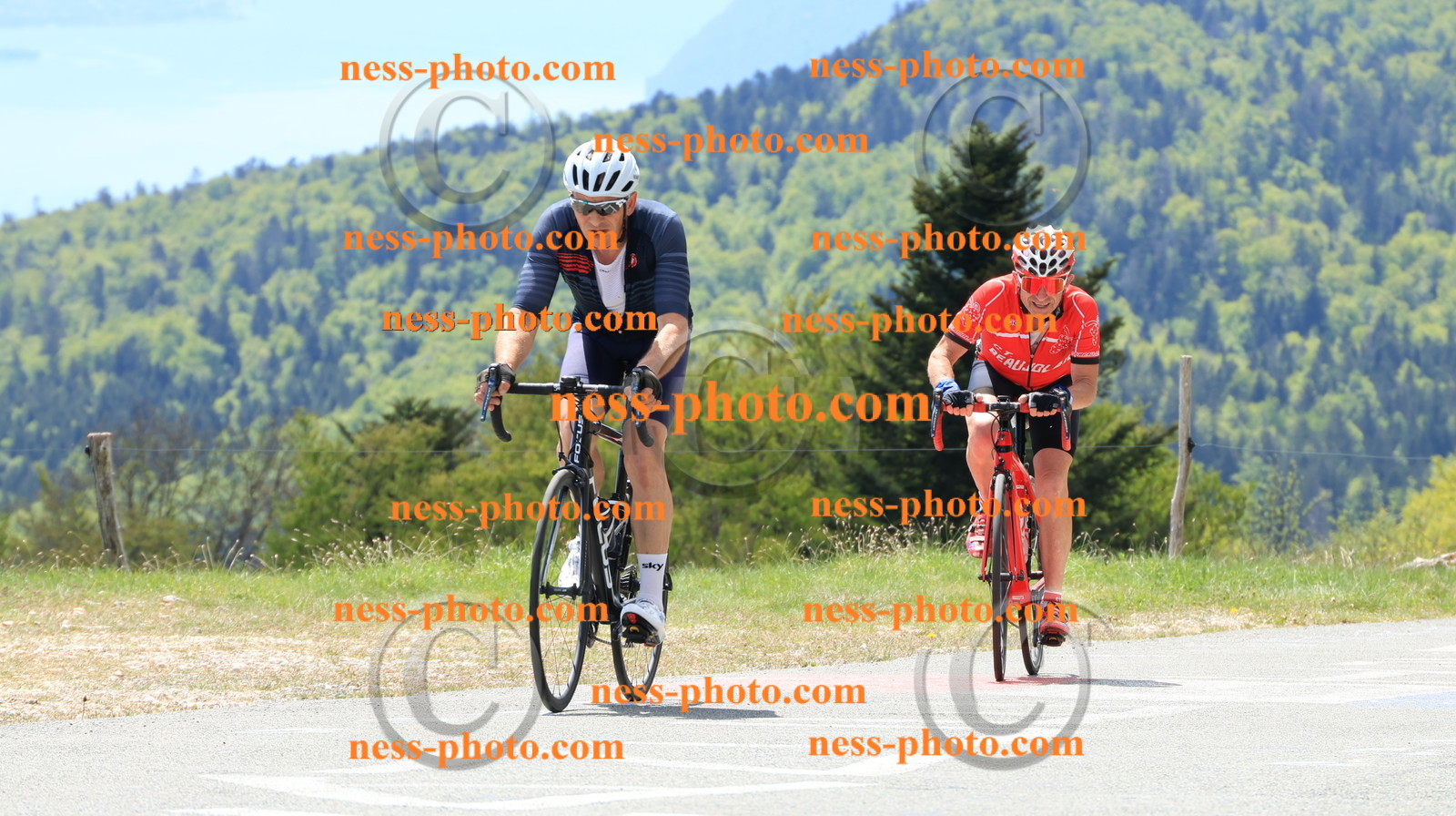 Col du grand Colombier (224).JPG