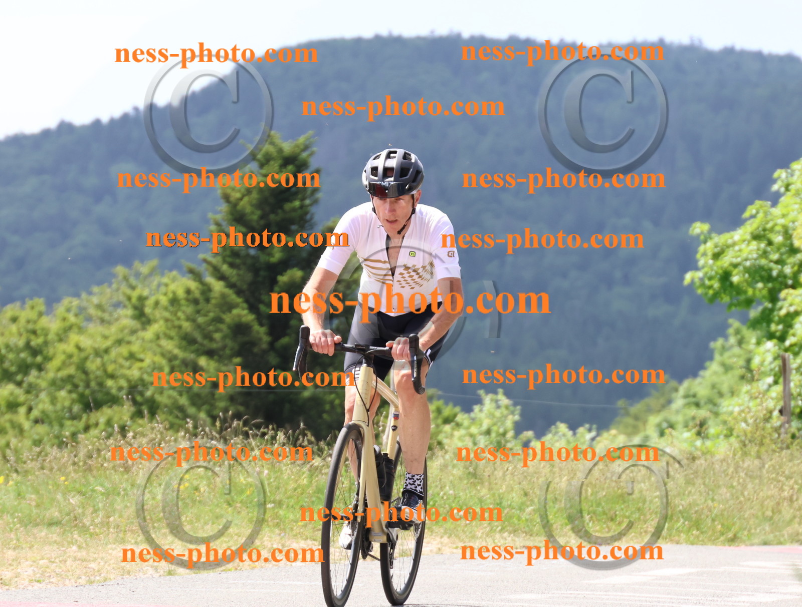 Col du grand Colombier (1833).JPG