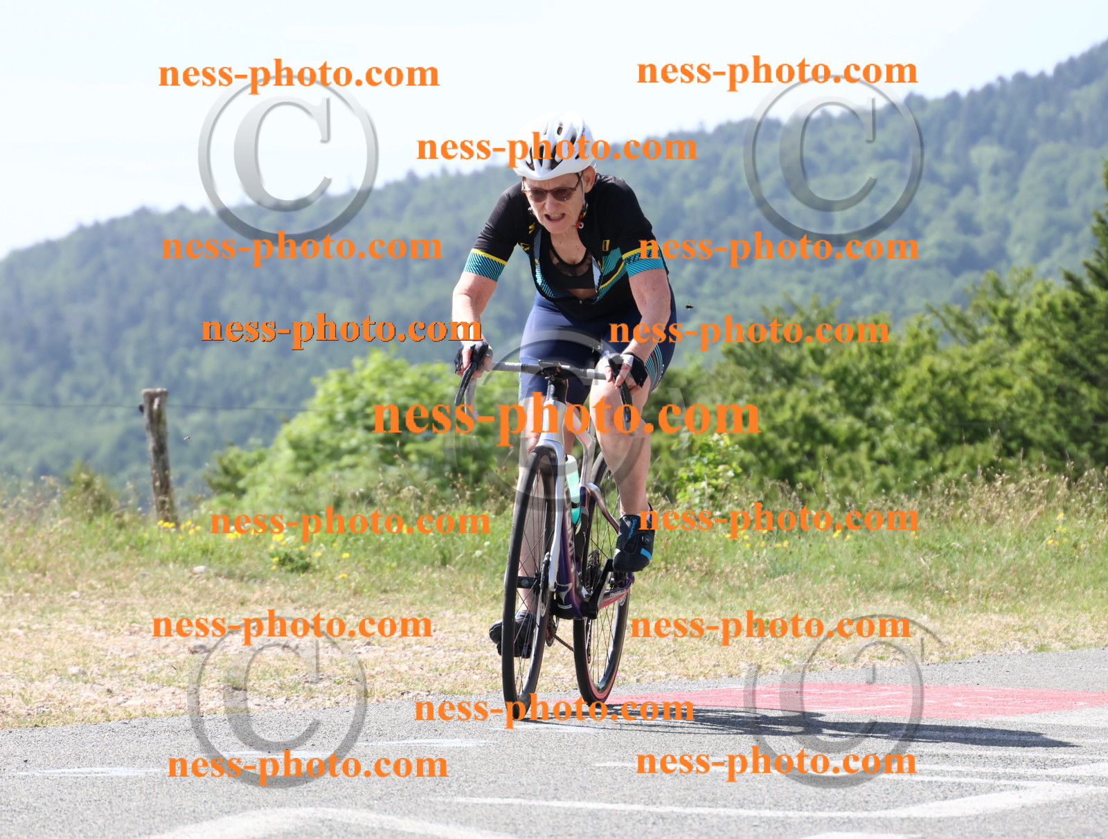 Col du grand Colombier (762).JPG