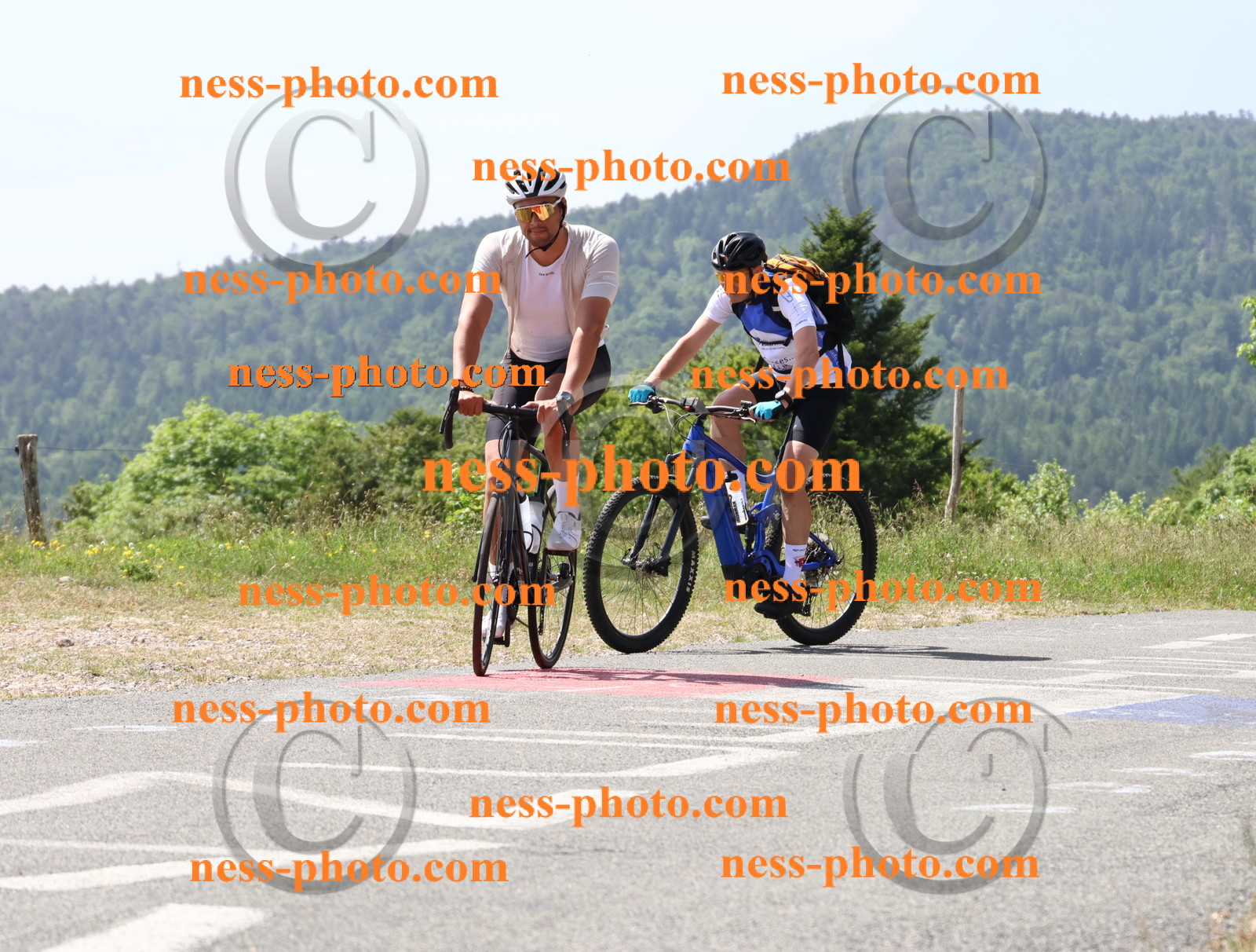 Col du grand Colombier (1501).JPG