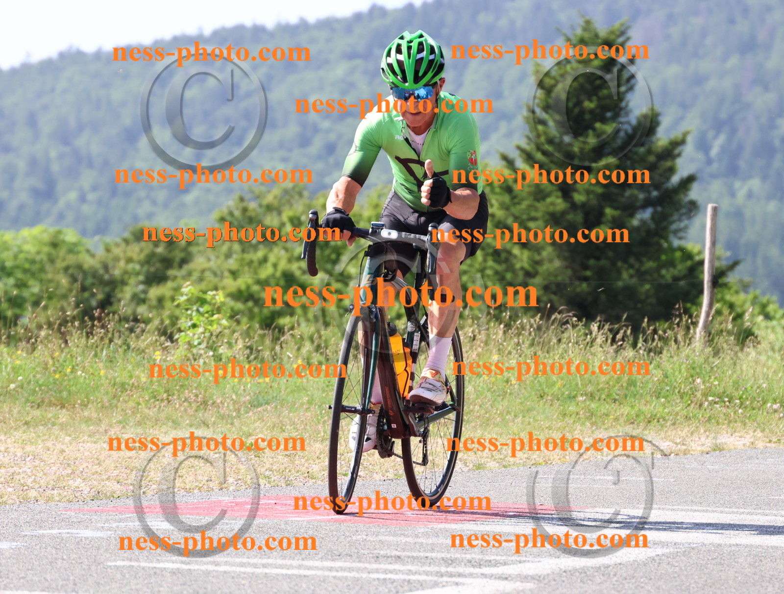 Col du grand Colombier (406).JPG