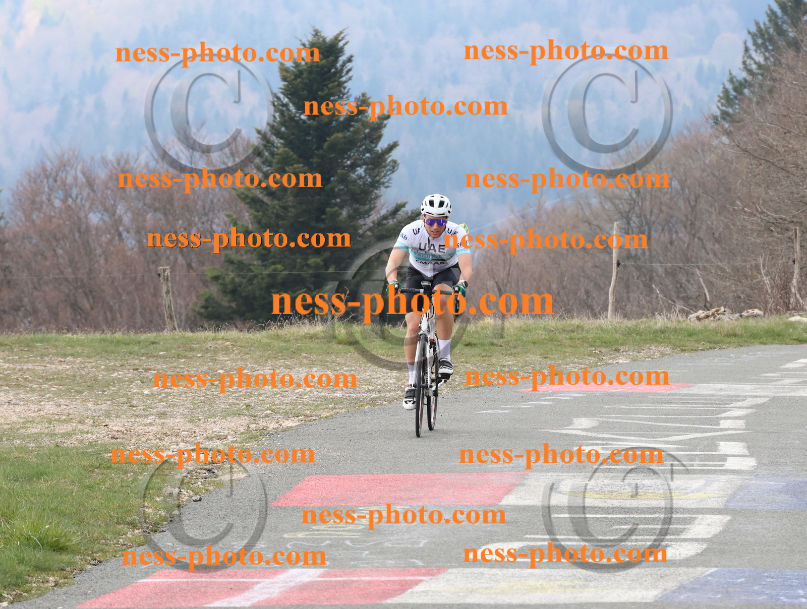 Col du Grand Colombier (143).JPG