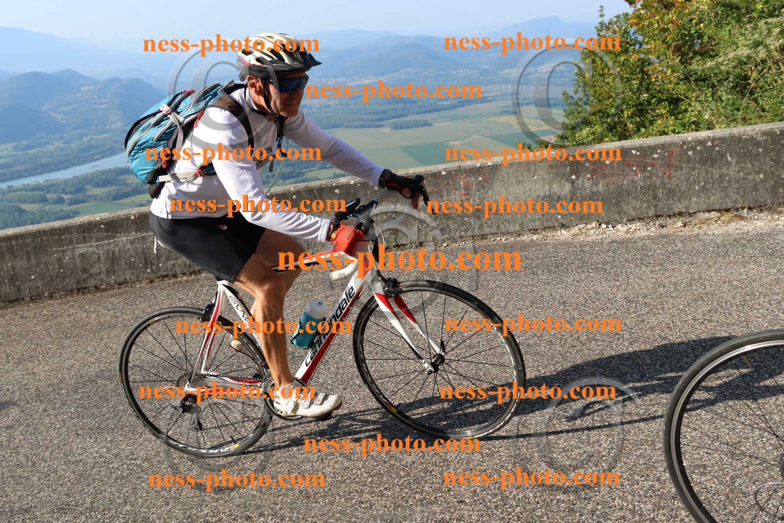 Col du Grand Colombier (1158).JPG