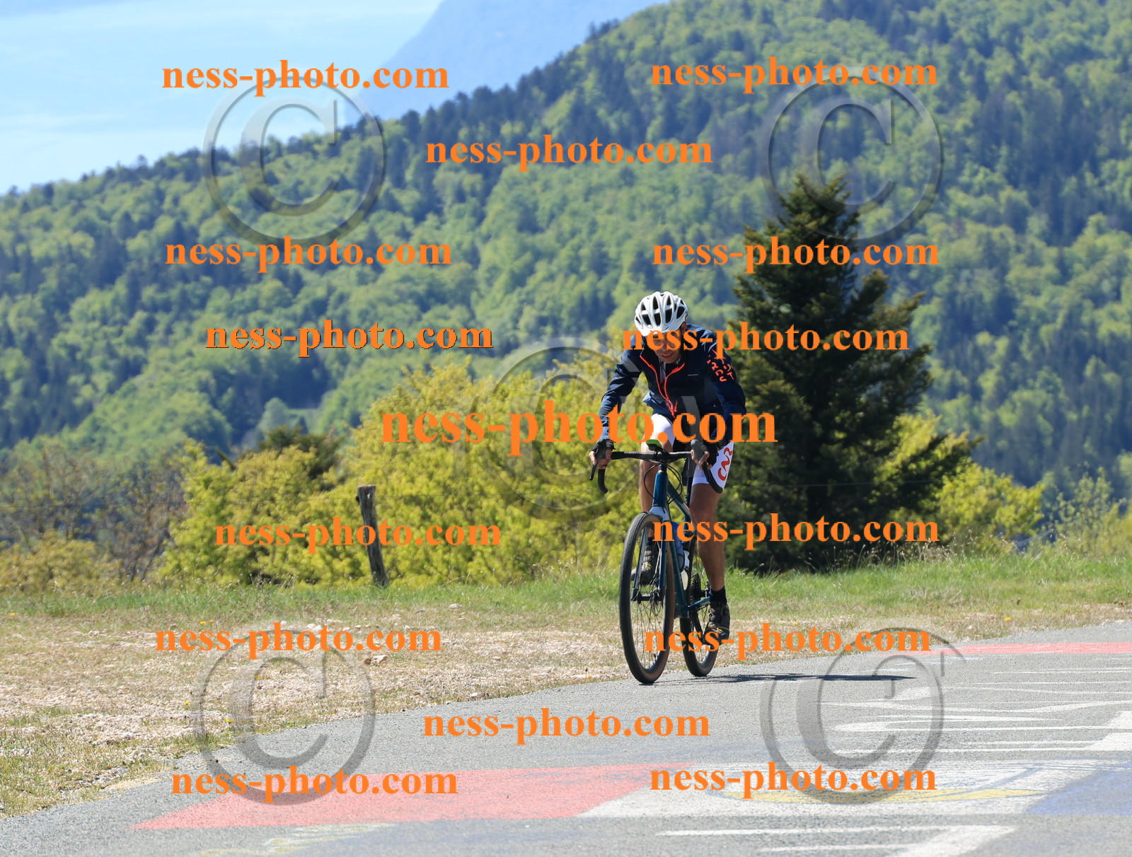 Col du grand Colombier (28).JPG