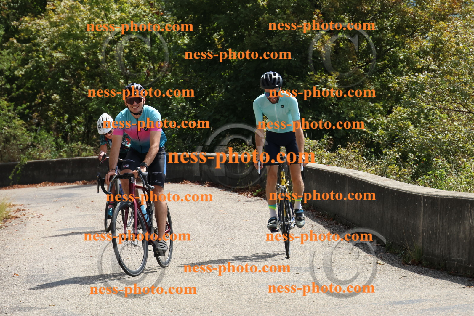 Col du Grand Colombier (482).JPG