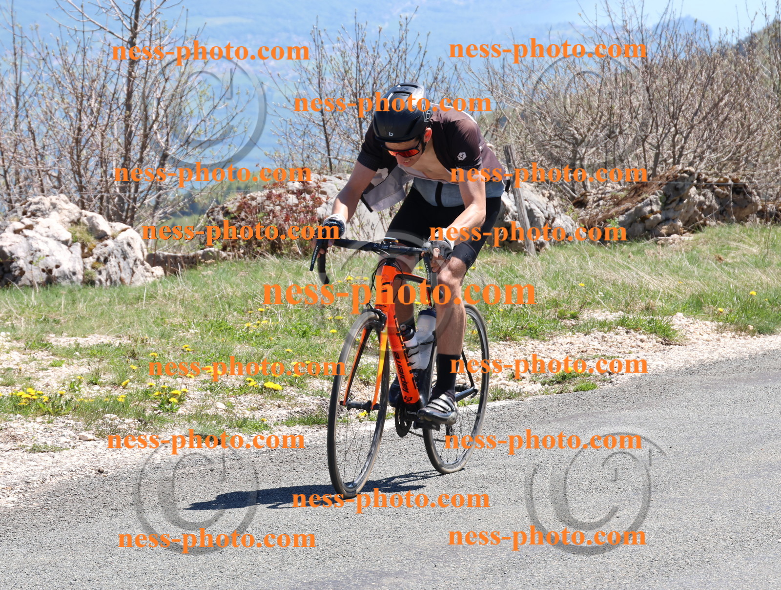 Col du Grand Colombier (805).JPG