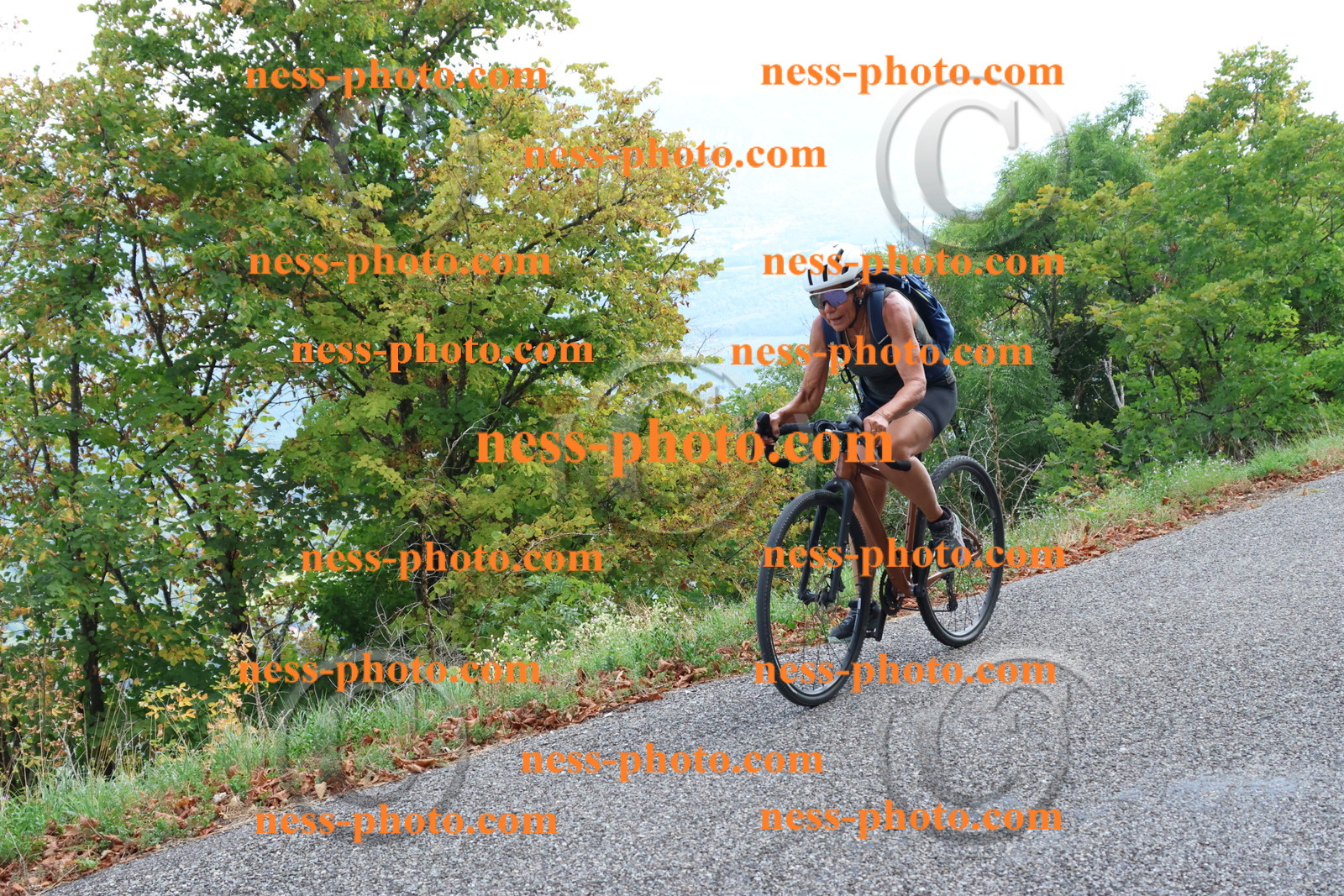 Col du Grand Colombier (731).JPG