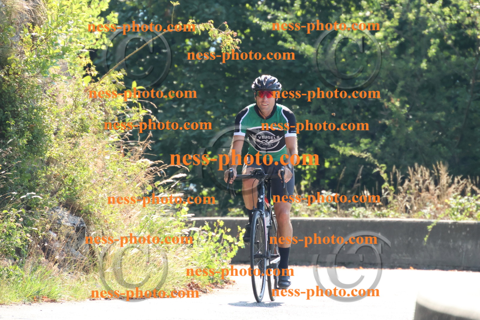 Col du Grand Colombier (63).JPG