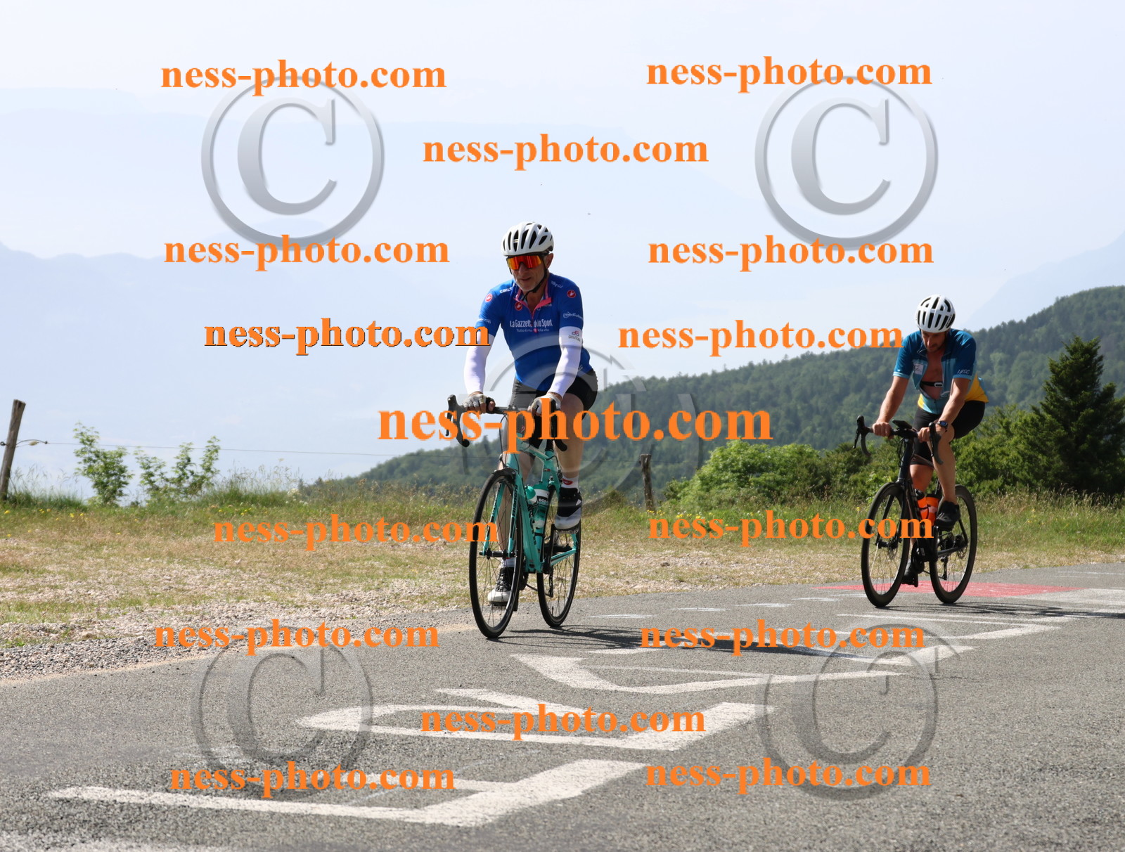 Col du grand Colombier (781).JPG