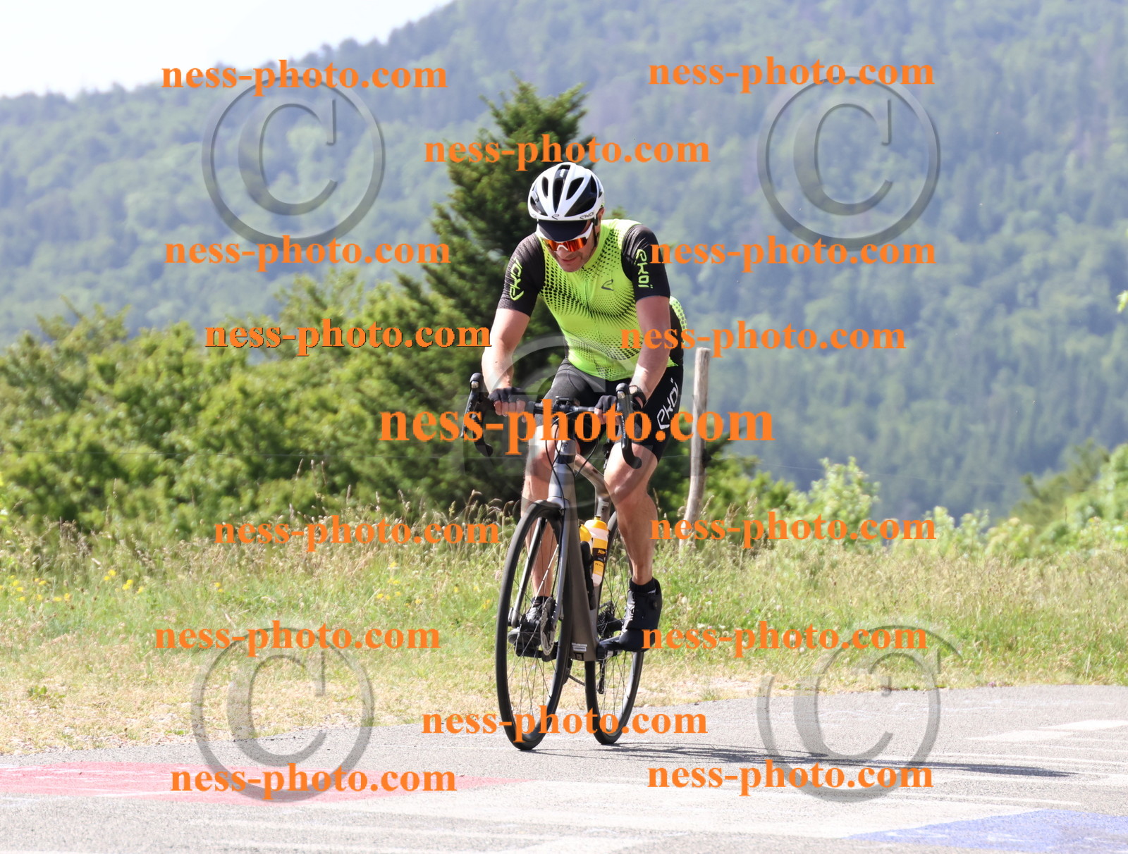 Col du grand Colombier (878).JPG