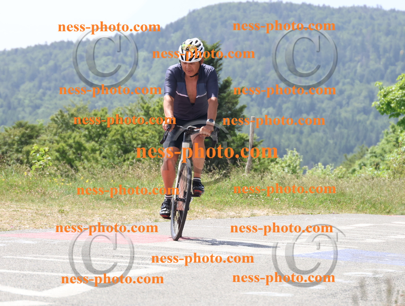 Col du grand Colombier (2110).JPG