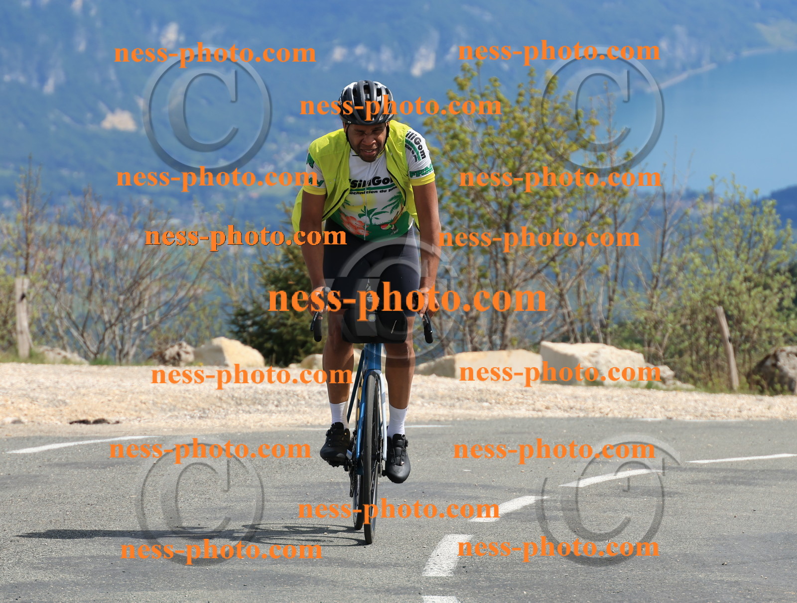 Col du grand Colombier (751).JPG