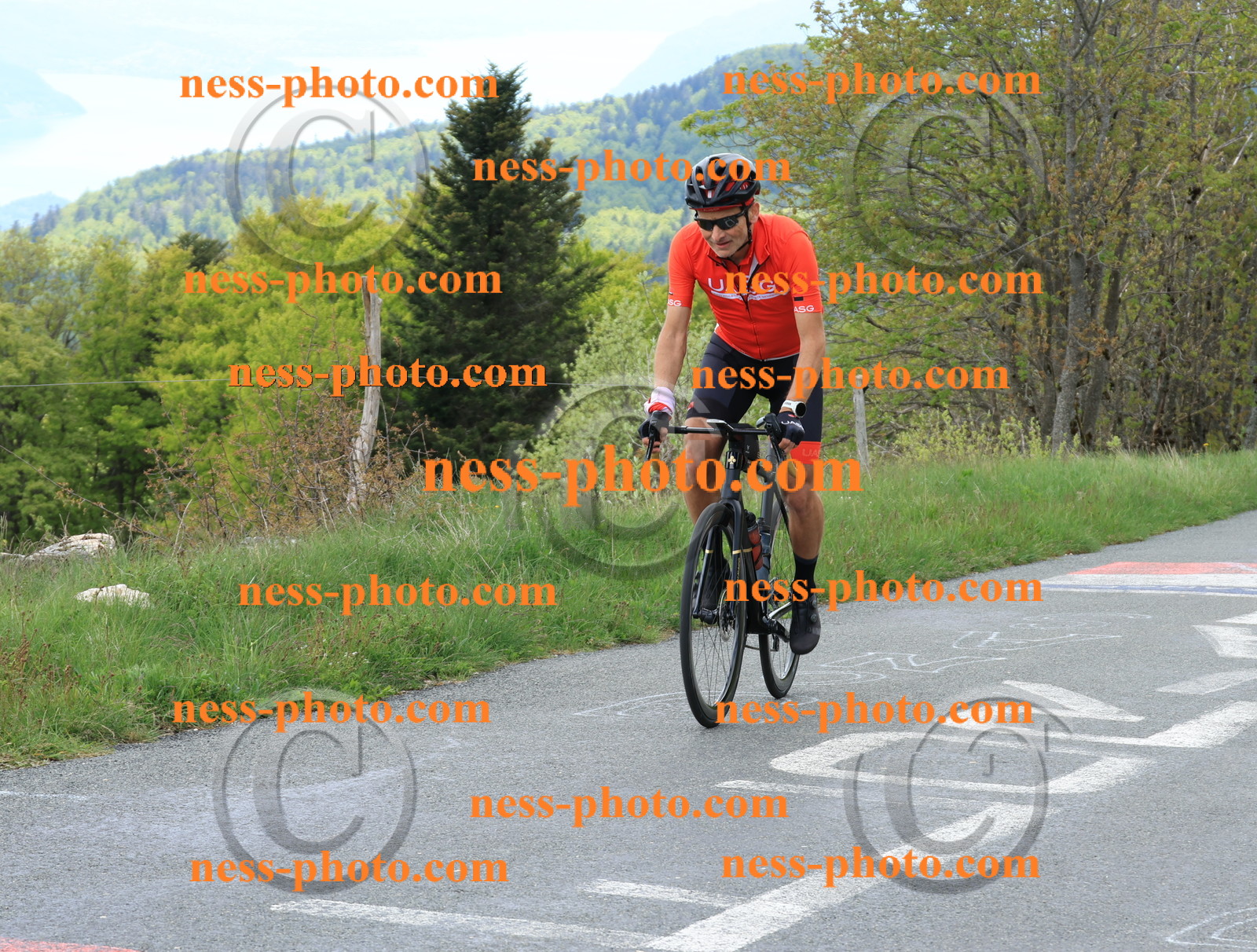 Col du Grand Colombier (621).JPG