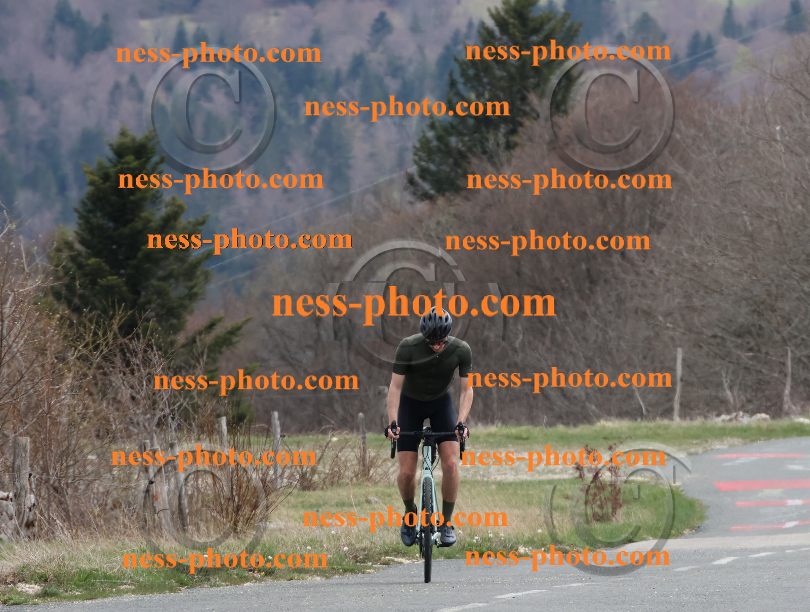 Col du Grand Colombier (410).JPG