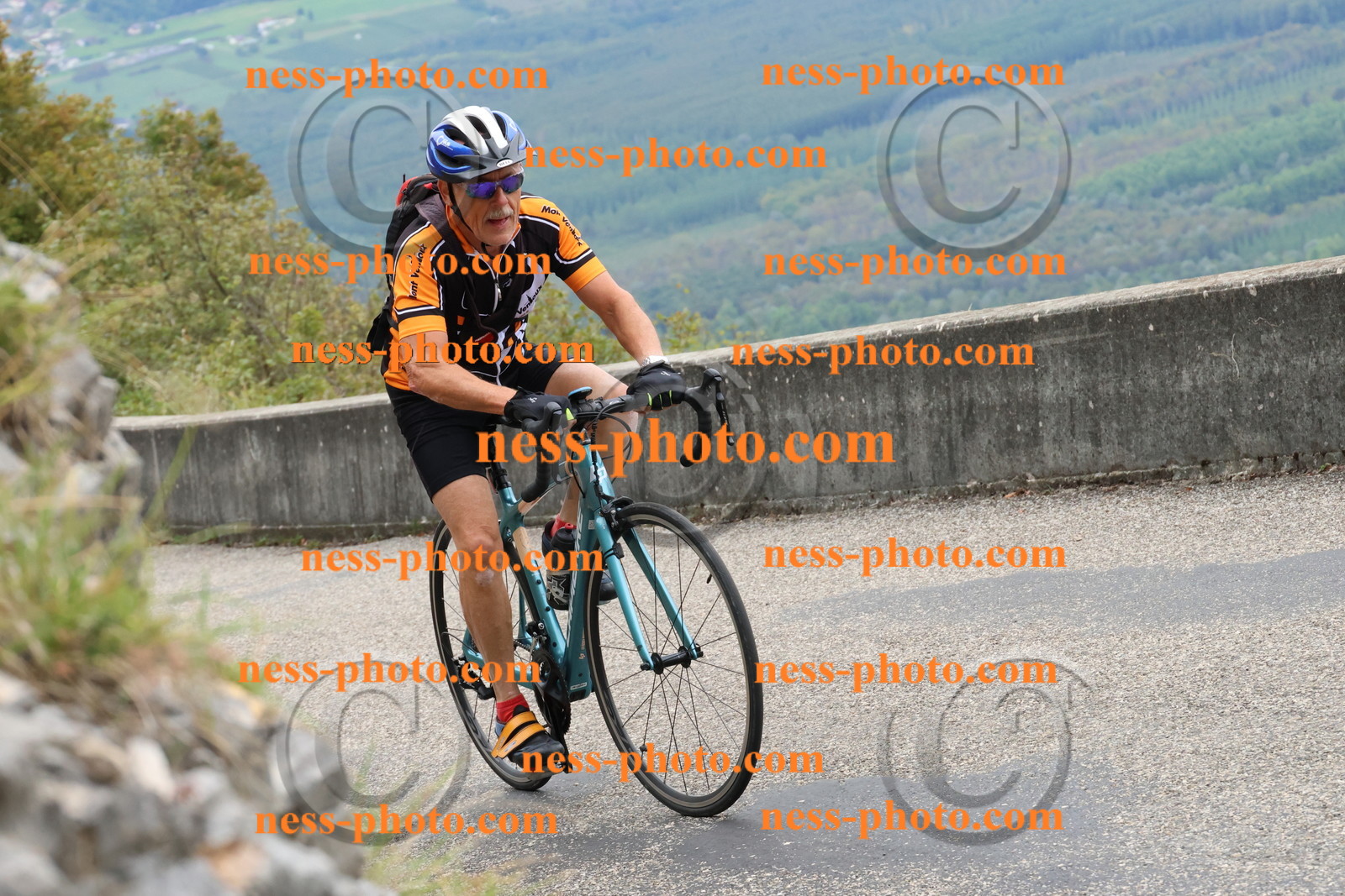 Col du Grand Colombier (1263).JPG