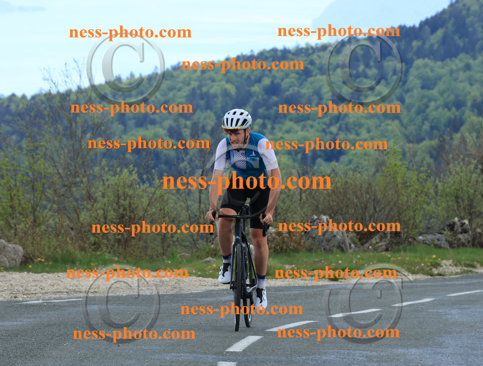 Col du grand Colombier (607).JPG