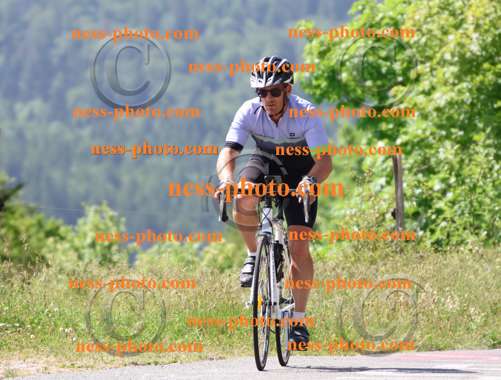 Col du grand Colombier (1534).JPG