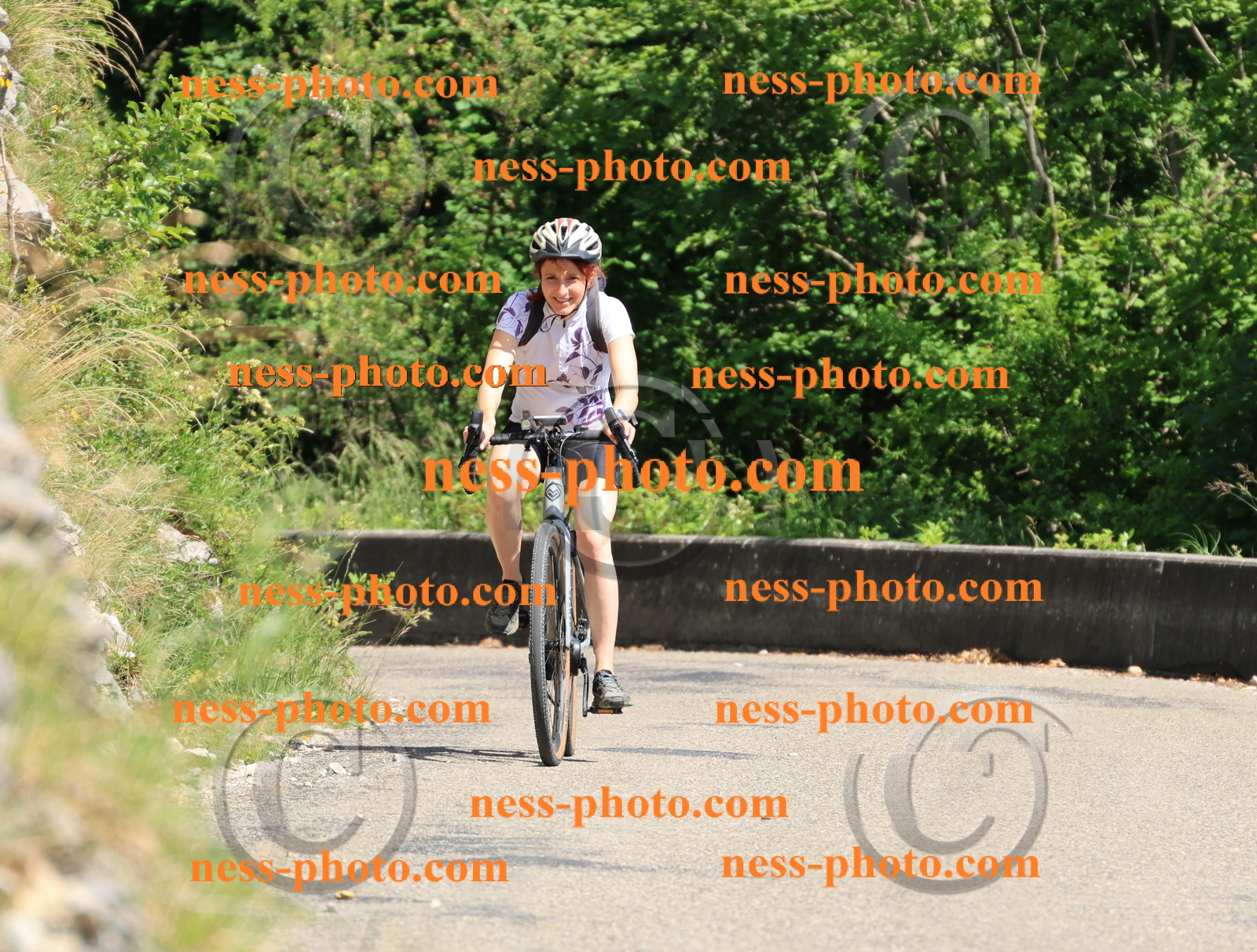 Col du Grand Colombier (716).JPG