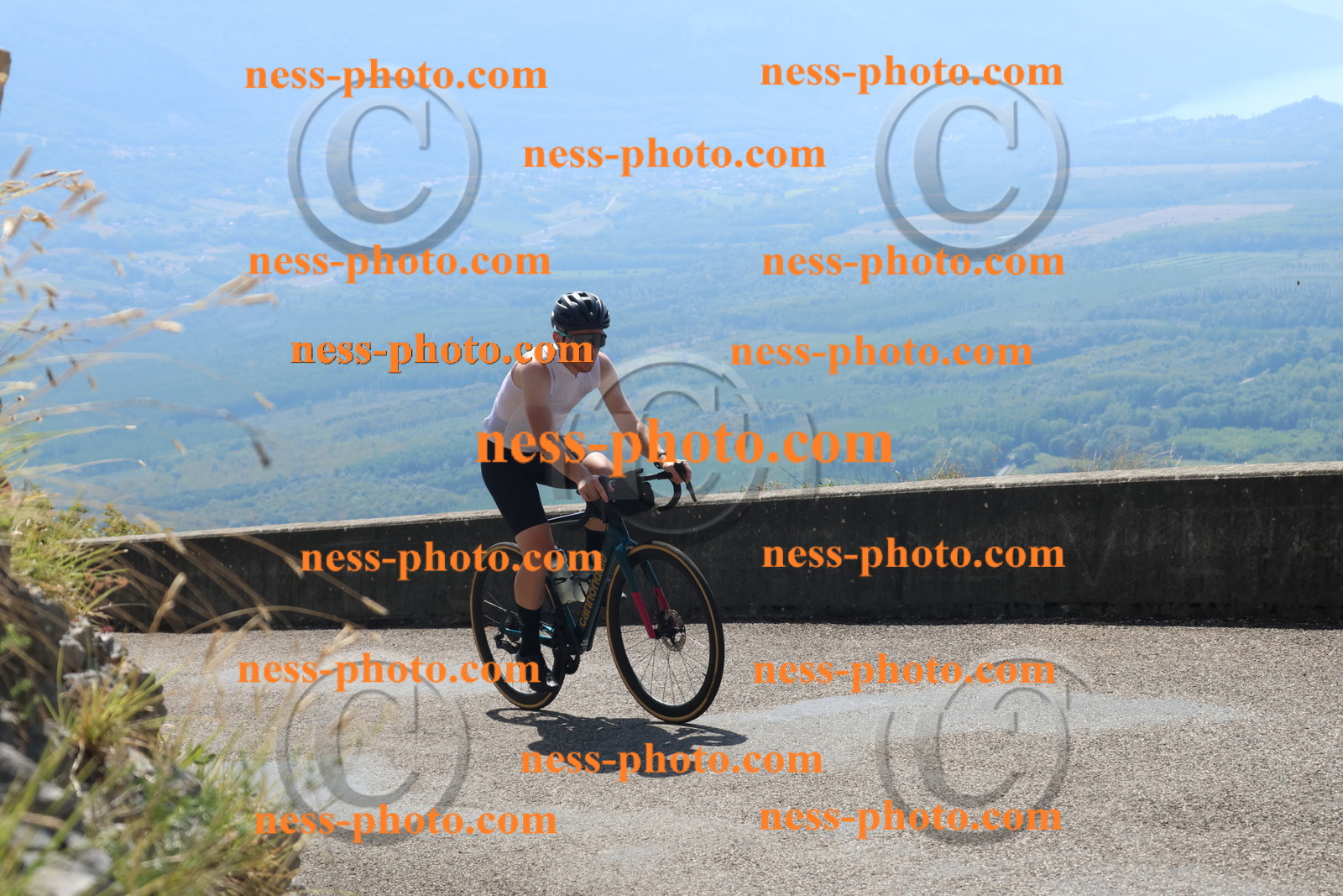 Col du Grand Colombier (3402).JPG