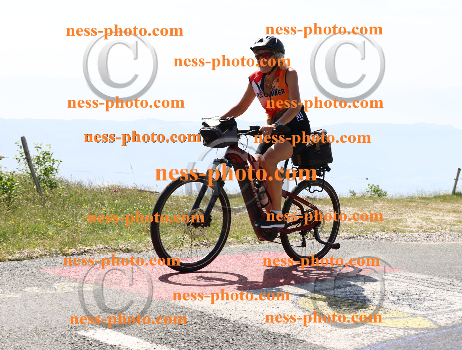 Col du grand Colombier (1251).JPG