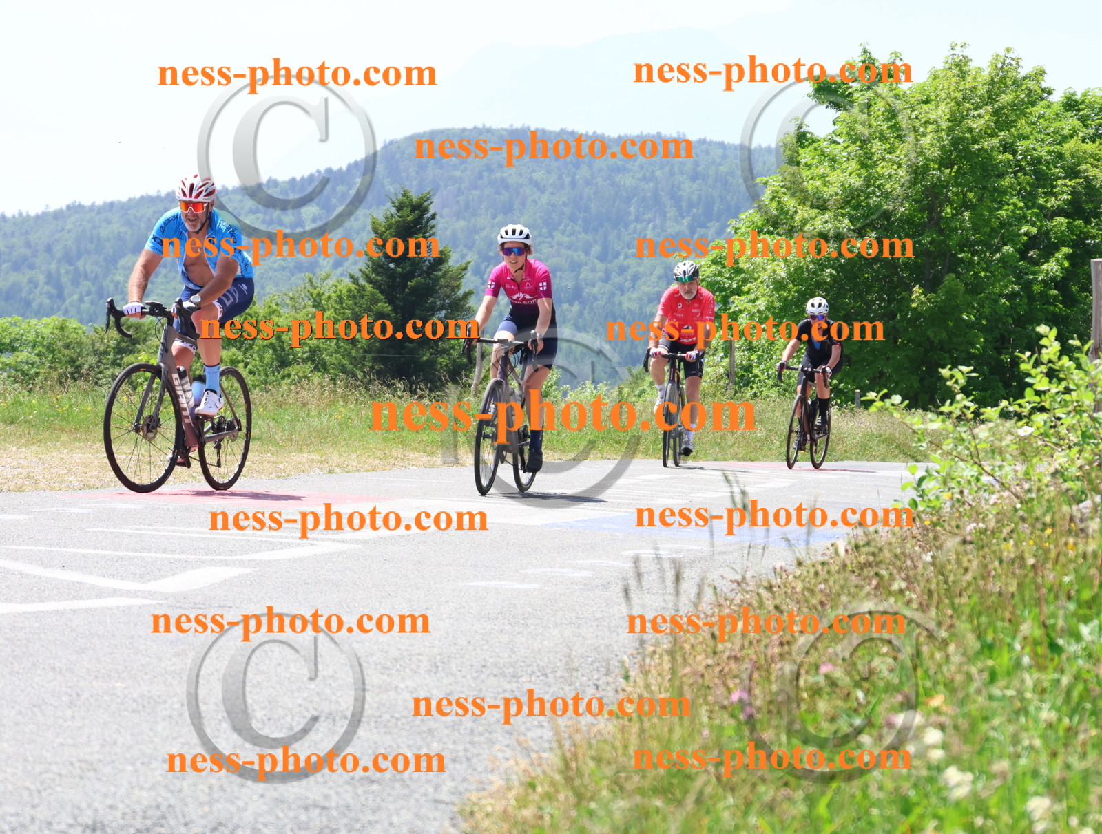 Col du grand Colombier (2500).JPG