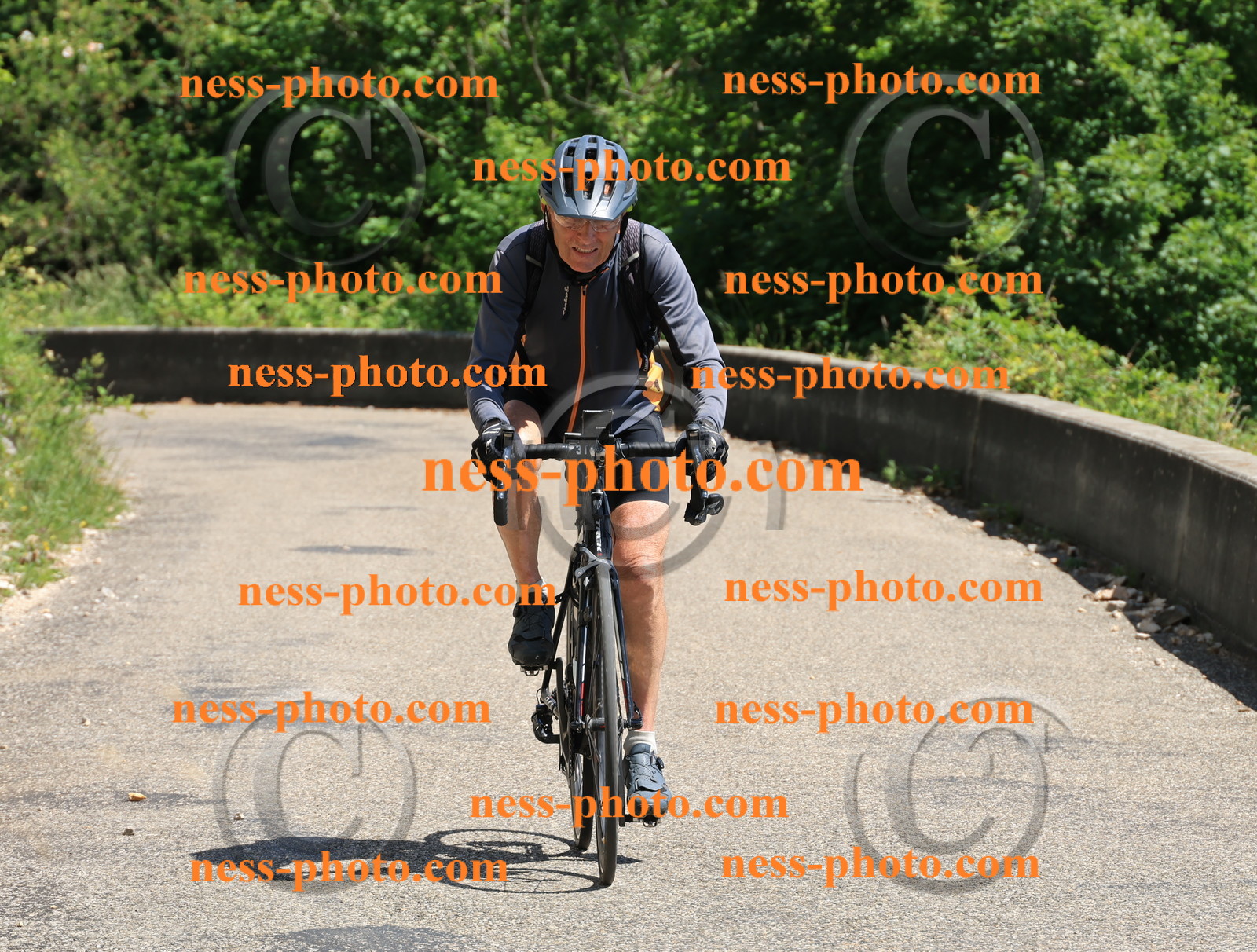 Col du Grand Colombier (655).JPG