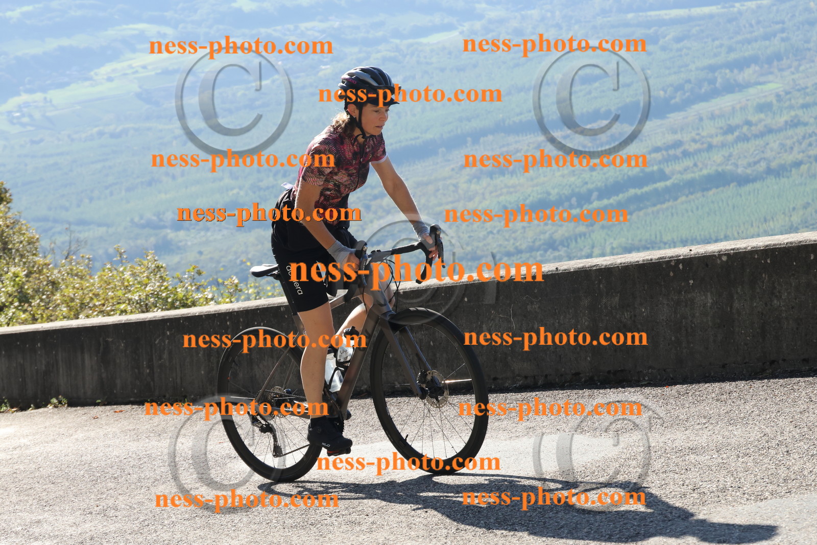 Col du Grand Colombier (71).JPG