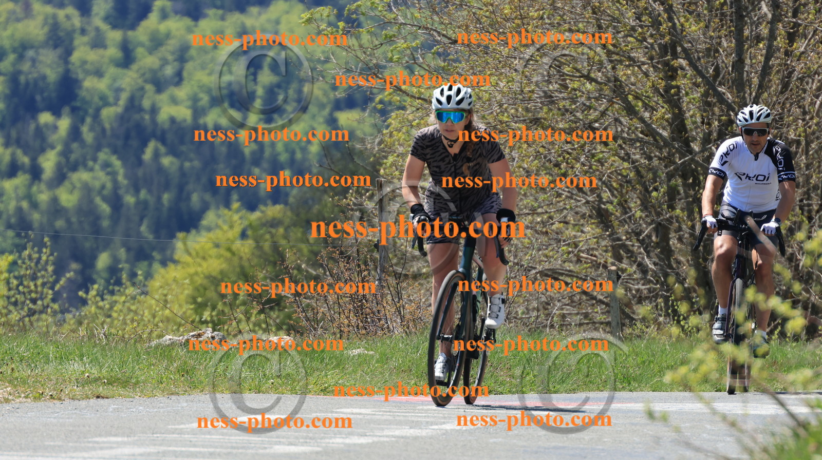 Col du grand Colombier (71).JPG