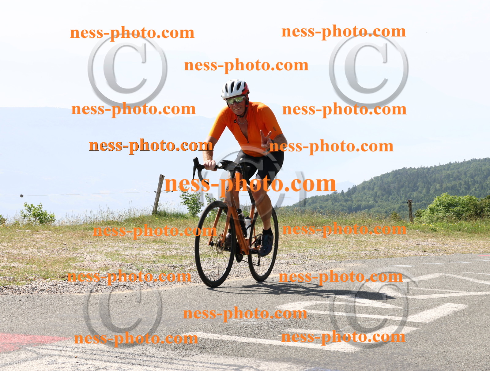 Col du grand Colombier (917).JPG