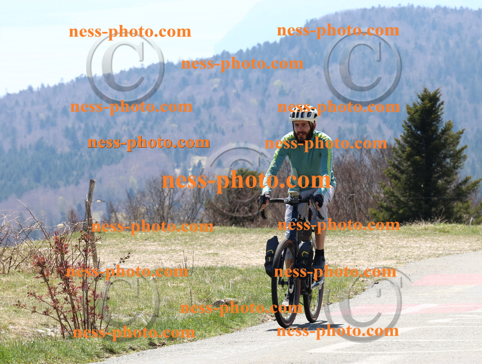 Col du Grand Colombier (269).JPG